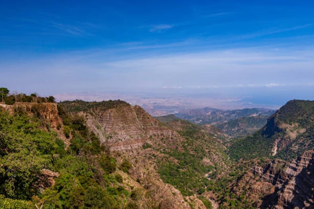 Scenic view from Day Forest National Park in Djibouti