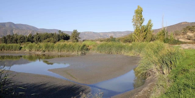 A Pond Next To Some Grasslands