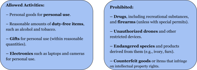 Customs Rules And Restricted Items
