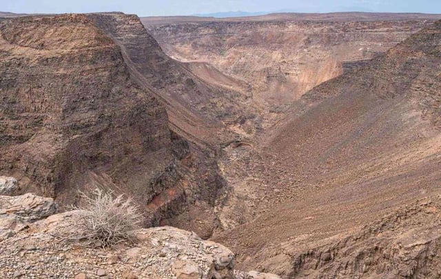 Day Forest National Park Djibouti Day Forest National Park Djibouti