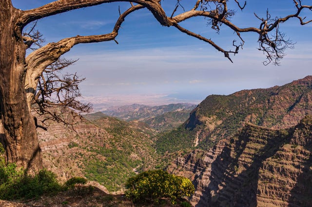 Day Forest National Park Highland Landscape
