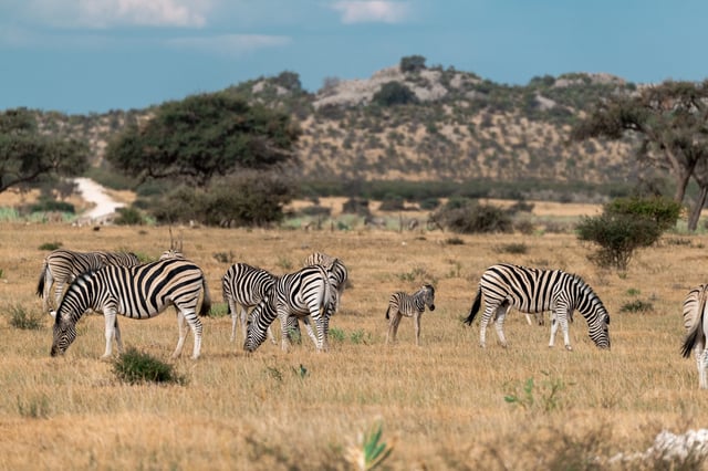 Decan Wildlife Refuge