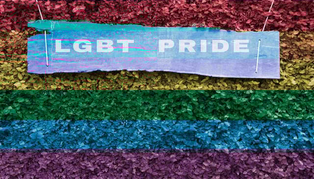 LGBTQ+ and Gender Laws in Djibouti