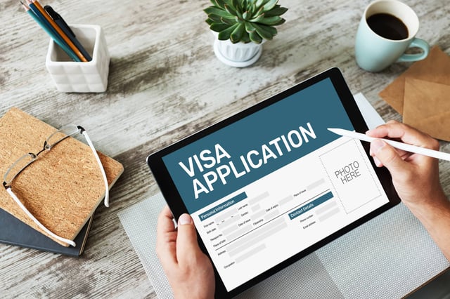 Online Visa Application Form On Screen