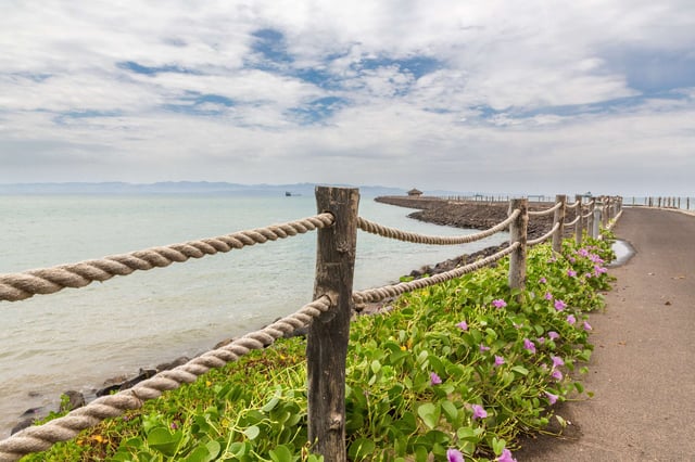 Plants And Flowers Growing On The Shores Of The Red Sea Near Djibouti Port