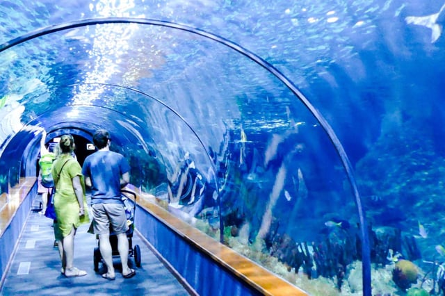 Tropical Aquarium Djibouti with visitors