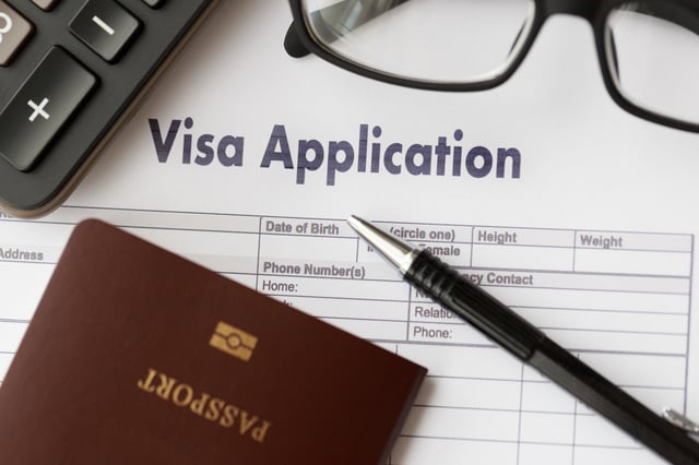 Visa Application Form To Travel Immigration