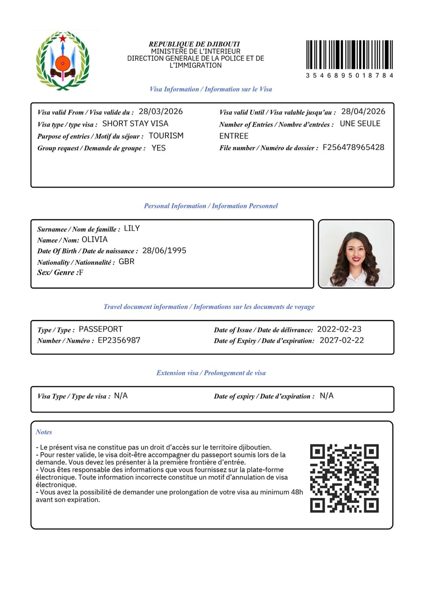 Sample Of Djibouti Tourist E Visa