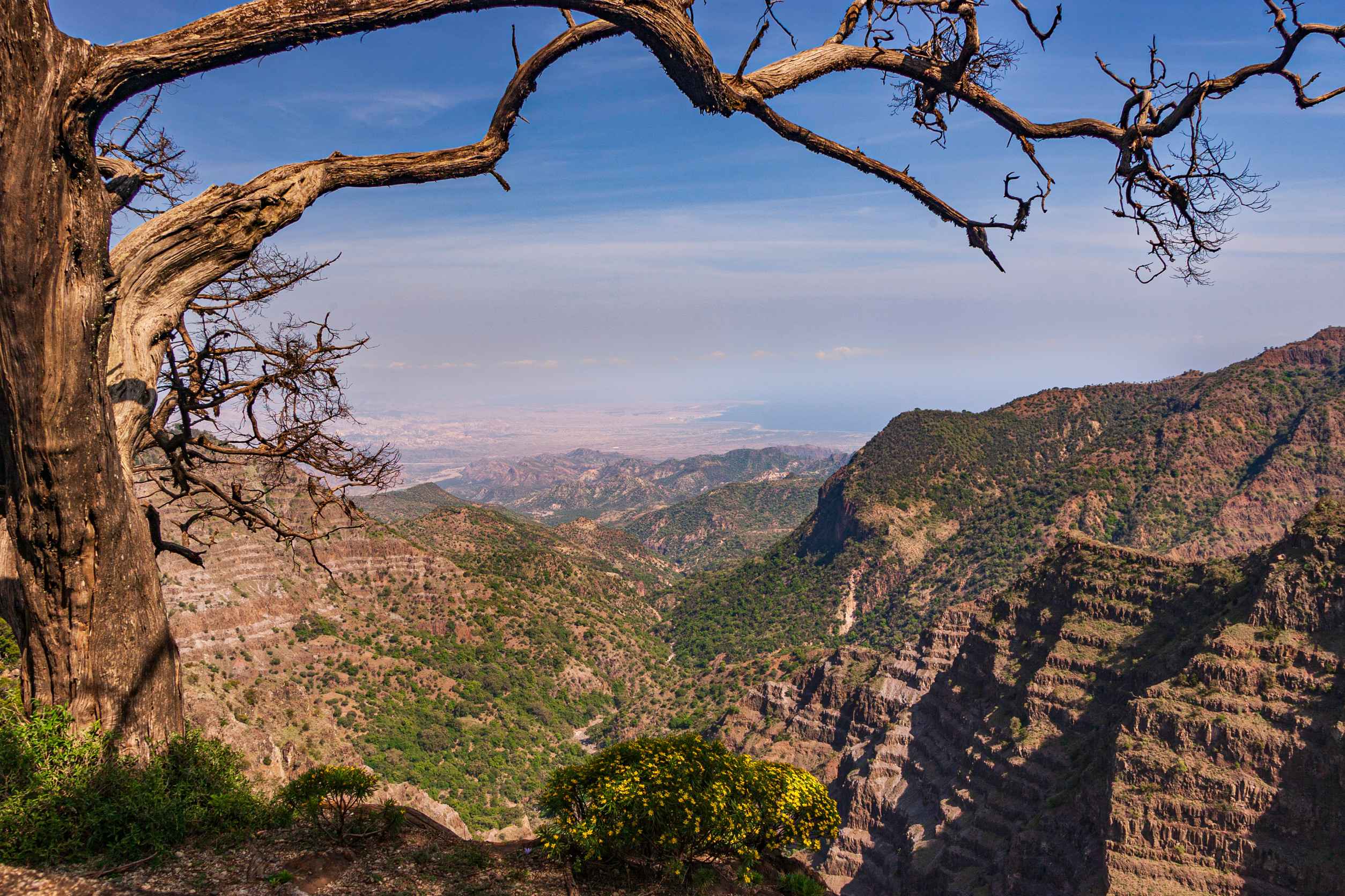Day Forest National Park Highland Landscape