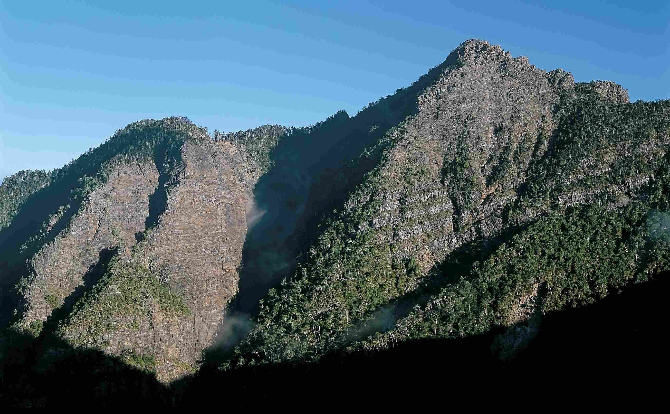 Day Forest National Park
