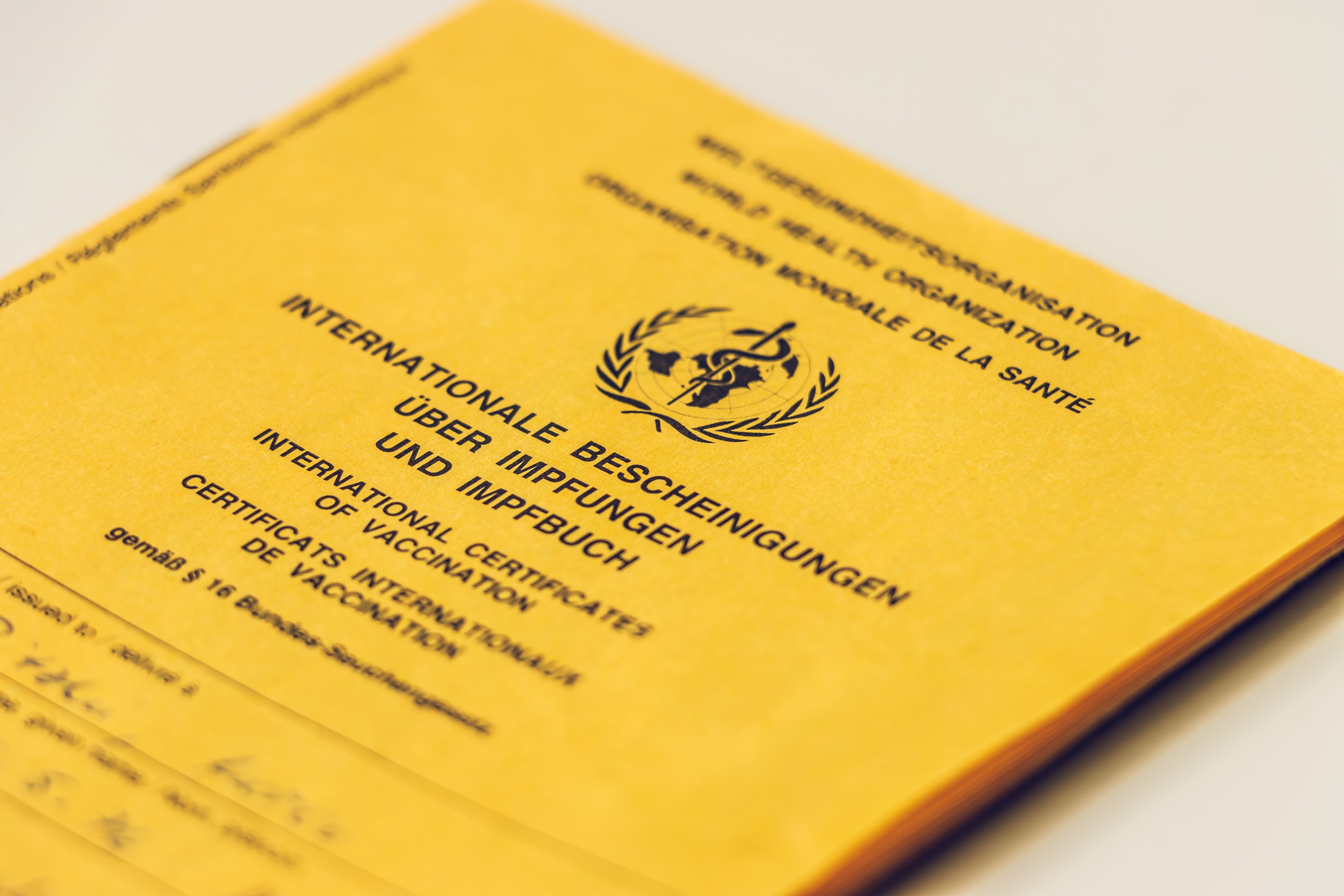 Vaccination Card Yellow Card Vaccination Card Yellow Card